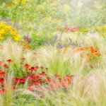 세계 각국에서 촬영된 멋진 '자연'