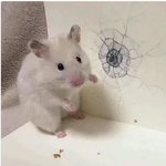 나는 애 못낳을 것 같음ㅋㅋㅋ