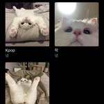 내 <b>애플</b>뮤직