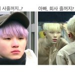 [세븐틴] 출처아는분