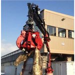 배수구를 막고있던 거대한 괴생물체