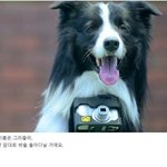 강아지의 <b>심장</b>박동으로 찍힌 사진 기억나??