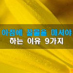 [50대] 아침에 <b>꿀물</b>을 마셔야 하는 이유