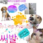 알바 실화냐?