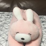 다이소 <b>토끼인형</b> 구해요