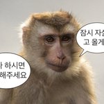 [NCT칠프] 야 방콕러들 모여