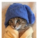 [댓글부탁해] <b>히피</b>펌했는데 백금발할수잇어?