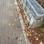 [댓글부탁해] 애들아 <b>수능철</b> 되면 판이나 유튜브에보이는