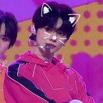 [TXT] 엔터에서 주운 연냥이