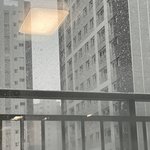 [드루와] <b>눈</b> <b>개</b>많이 내린다