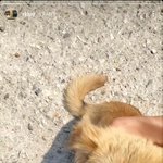 [방탄소년단] 이 멈<b>머</b>는 무슨 멈<b>머니</b> 남주나ㅠㅠㅠ