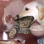 너네 선생님 <b>생신때</b> 케이크