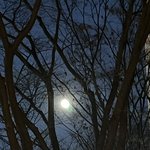 [댓글부탁해] 내 체형 보고 어울리는 옷 추천 좀…