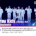 [스키즈] 테이들!