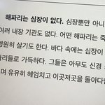 내가 <b>해파리</b>였으면 좋았을텐데