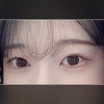[댓글부탁해] 렌즈 <b>개</b> <b>눈</b> 같음???