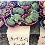 [<b>19</b>] 오늘 눈오는날 설레는 <b>썰</b> 풀어도돼?