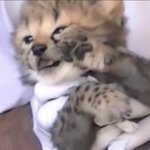 [NCT칠프] 오웅~... 맠프는 일찍 일어나야해서 자러가요옹....