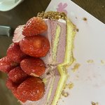 우리 언니 <b>설대</b> 문과 예비인데 예비 빠짐 …