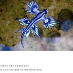 [19] 상대 뇌속에 <b>성전환</b> 시키는거 미친거같음