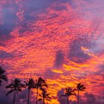 [엔터톡] 미친여름 과몰입토론