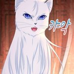 [ㅈㄱㄴ] 우리동네 존맛 <b>쿠키</b>집 있는데 개비싸
