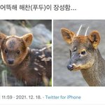 [NCT칠프] 해찬푸두 결혼한대