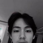 뷔 영상에 나온집 아펠바움 맞음