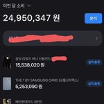 30대 이번달 카드<b>지출</b>
