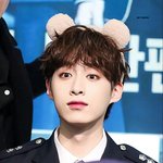현실감은 사라진지 오래인 <b>요정</b>들