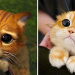 실물로 보는 '장화 신은 고양이'