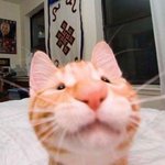 부리부리<b>이션</b>이라그요?