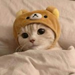 [NCT드림] 이거 <b>런지</b>니같다
