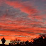 [방탄소년단] <b>울</b> <b>집</b>에서