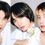 [TXT] 우리 5<b>분할</b>은 국룰인가봐