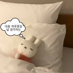 [조언부탁해] 얘들아 어떡해여해 친구가 내가 좋아하는 아이돌