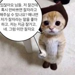 [댓글부탁해] 나 <b>올케</b>언니? 랑 싸웠는데