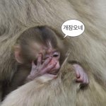 [19] <b>체대</b>남 거르라는 이유