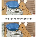 <b>은혜</b>갚은 고라니