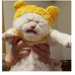 실시간 <b>롯</b>된 판녀…