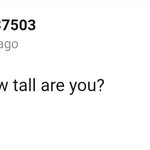 [풀햄보이즈] 알렉스 큐앤에이 가져왔어