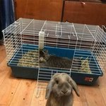 [댓글부탁해] 고3 <b>재수</b> 현실 <b>조언</b> 좀ㅠㅠ