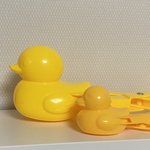 눈<b>오리</b> 집게 작은것도 잇는거 알아?