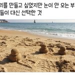 진짜 부산은 눈 <b>안왕</b> ?????