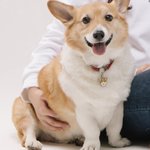 볼살 푸둥푸둥해진거 봐라