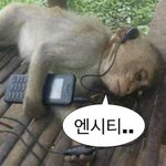 [NCT칠프] 나 유니버스 앨범 공구한 것도