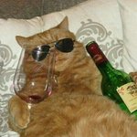 [19] 겨울방학 특강이나 단과수업vs 자습 <b>위주</b>