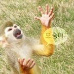 [댓글부탁해] 운 것 같은 메이크업