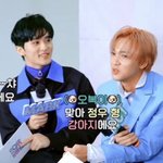 [NCT칠프] 졍우는 <b>진</b>~~짜 강아지에요