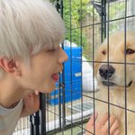 [NCT칠프] <b>왼쪽</b>이 강아진가요?